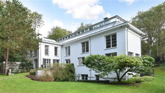 Villa uitvinder "corona-verdelger" onder de hamer img