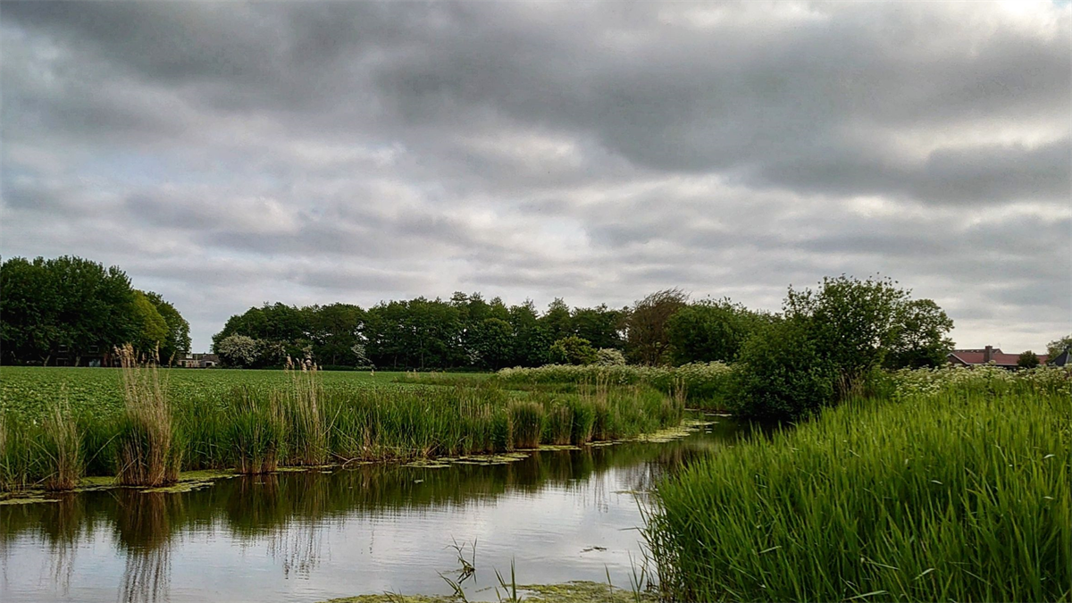 Vastgoedplan Nederland failliet verklaard doo...